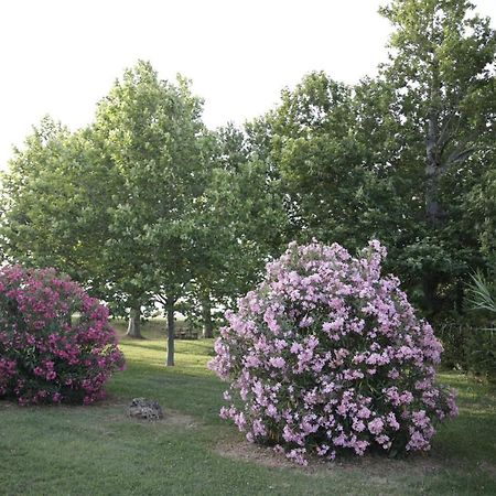 Agriturismo La Fonte Di San Girio Vendégház Potenza Picena Kültér fotó