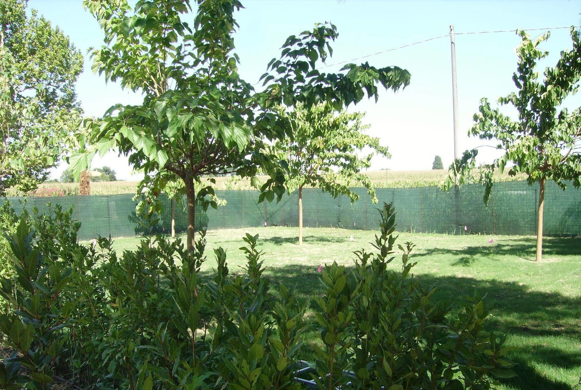 Agriturismo La Fonte Di San Girio Vendégház Potenza Picena Kültér fotó